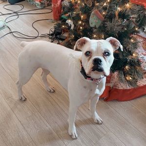 Meet your Posher, Aubrey